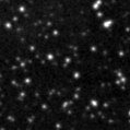 2023lk_image