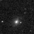 2023mfo_image