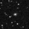 2023mlq_image