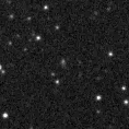 2023msp_image