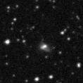 2023mzw_image