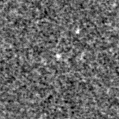 2023nal_image