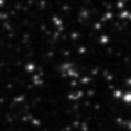 2023ncs_image