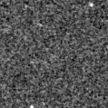 2023ndm_image