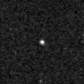 2023neo_image