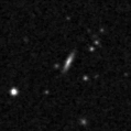 2023nii_image