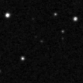 2023niu_image