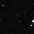 2023nlj_image