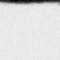 2023nll_image