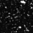 2023noe_image