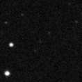 2023npv_image
