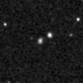2023nvf_image