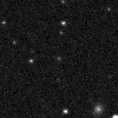 2023nwz_image