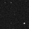 2023nza_image