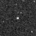 2023nzg_image
