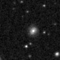 2023nzm_image