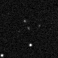 2023nzw_image