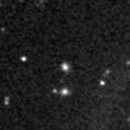 2023oas_image