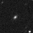 2023odq_image
