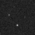 2023ofd_image