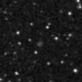 2023ogq_image