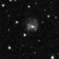 2023opj_image