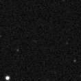 2023org_image