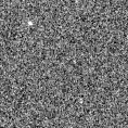 2023orj_image