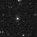 2023orq_image