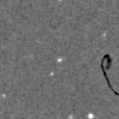 2023ovj_image
