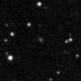 2023owl_image