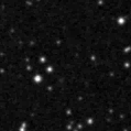 2023ozb_image