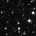 2023ozj_image