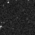 2023ozv_image