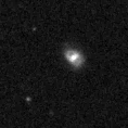 2023ozw_image