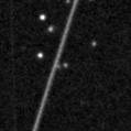 2023pdj_image