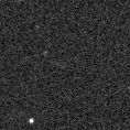2023pdm_image