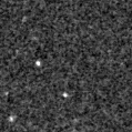 2023pfj_image