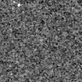2023pfs_image