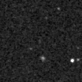 2023pfv_image