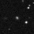 2023pgg_image