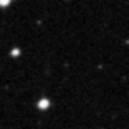 2023pjf_image
