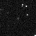 2023pjj_image