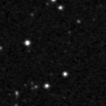 2023pkd_image