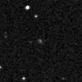 2023pld_image