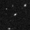 2023pny_image