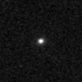 2023po_image