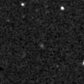 2023ppn_image