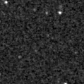 2023prg_image