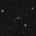 2023prm_image